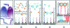 Figure 13 - (a) bacterial lysis, (b) hybridization of 16S RNA sequences with fluorescein-labeled "signal" sequences, (c) hybridization with "probe" sequences, (d) complex labeling with HRP, (e) electrochemical detection [47].