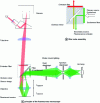 Figure 10 - (a) Principle of a fluorescence microscope set-up, (b) detail of beam separation by a dichroic cube.