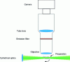 Figure 15 - Principle of the light sheet technique (SPIM)