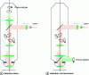 Figure 18 - Principle of the two-photon microscope set-up in descanned or undescanned configuration