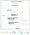 Figure 14 - Principle of library synthesis for MinION sequencing (Ref. https://nanoporetech.com)