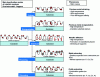 Figure 11 - Deactivation modes of precious metal systems – supports under automotive catalysis conditions