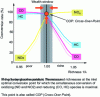 Figure 13 - Example of toxic gas conversion profile as a function of environmental richness