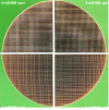 Figure 20 - Front view of different ceramic substrates with densities ranging from 400 to 900 cpsi