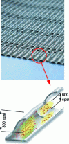 Figure 23 - Metal substrates for turbulent flow with reduced back pressure