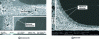 Figure 6 - Cross-sections of automotive catalysts observed by electron microscopy