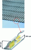 Figure 15 - Metal substrate for turbulent flow (impactor) [12].