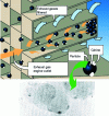 Figure 20 - Regeneration mechanism for additive particulate filter