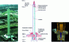 Figure 30 - ZARM tower in Bremen: overview, cross-section diagram, catapult (photos from the [ZARM] website)