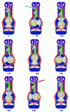 Figure 35 - Gomecsys motor: variation of eccentric position