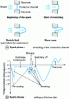 Figure 5 - Spark phases