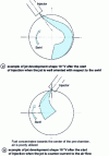 Figure 12 - Jet orientation in relation to the swirl