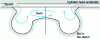 Figure 21 - Flow in the piston bowl