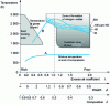 Figure 26 - Temperature / excess air coefficient diagram (source: FEV, Aachen)