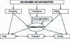 Figure 2 - Effects of variable distribution