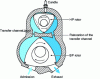 Figure 55 - Rotary piston diesel engine concept