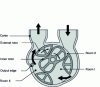 Figure 7 - Lobe compressors with internal rotor: schematic cross-section