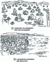 Figure 21 - Illustrative illustration of the differences between ATAC or CAI combustion modes and conventional spark ignition.