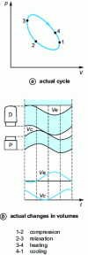 Figure 12 - Real-life thermodynamic evolution of a single-acting Stirling engine