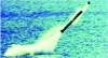 Figure 6 - SM39 missile underwater vehicle (MBDA-DGA-CEM)