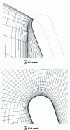 Figure 8 - Description of the leading edge using two types of mesh