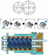 Figure 33 - Screw pump (doc. Busch)