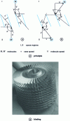 Figure 15 - Pumping principle for turbomolecular pumps