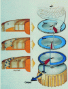 Figure 19 - Exploded view of the lower part of a hybrid turbomolecular pump (Gaede/Siegbahn principle) (doc. Varian)