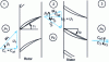 Figure 1 - General floor layout