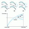 Figure 26 - Different transonic flow configurations