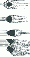 Figure 26 - Flared holes: flow fields, according to [40]