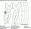 Figure 29 - Three-domain wake model