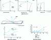 Figure 19 - Tensile test