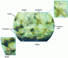 Figure 3 - Microstructure of F-05C2-270