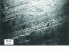 Figure 1 - Plastic deformations