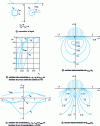 Figure 13 - Massive stresses (linear cylinder-cylinder contact)