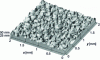 Figure 7 - Example of three-dimensional roughness representation