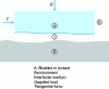 Figure 1 - Key elements of tribological contact