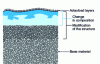 Figure 3 - Schematic representation of the surface