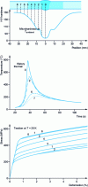 Figure 13 - Aluminum alloy welding: thermal history and mechanical properties in the vicinity of a weld (TIG welding of the shell of Ariane V's cryogenic tank in aluminum alloy 2219 (AlCu6FeMn state T 87) (from [52])