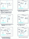 Figure 2 - Gyroscope and gyroscopic moments