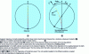 Figure 3 - Fictitious Coriolis force