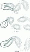 Figure 24 - Vorticity field calculated downstream of the cylinder for different configurations