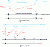 Figure 9 - Examples of code coupling algorithms: shifted algorithm and iterated algorithm