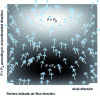 Figure 14 - Pressure field in a developed bearing