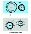 Figure 5 - Direct and inverse emulsion