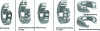 Figure 2 - Illustration of the main bearing types (SKF general catalog)