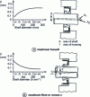 Figure 27 - Maximum eccentricity and whipping of a lip seal