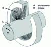 Figure 43 - Brush seal diagram