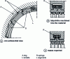 Figure 9 - Labyrinth seals with retractable segments